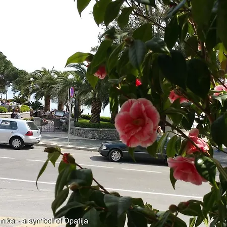 Kamelija Apartment Opatija